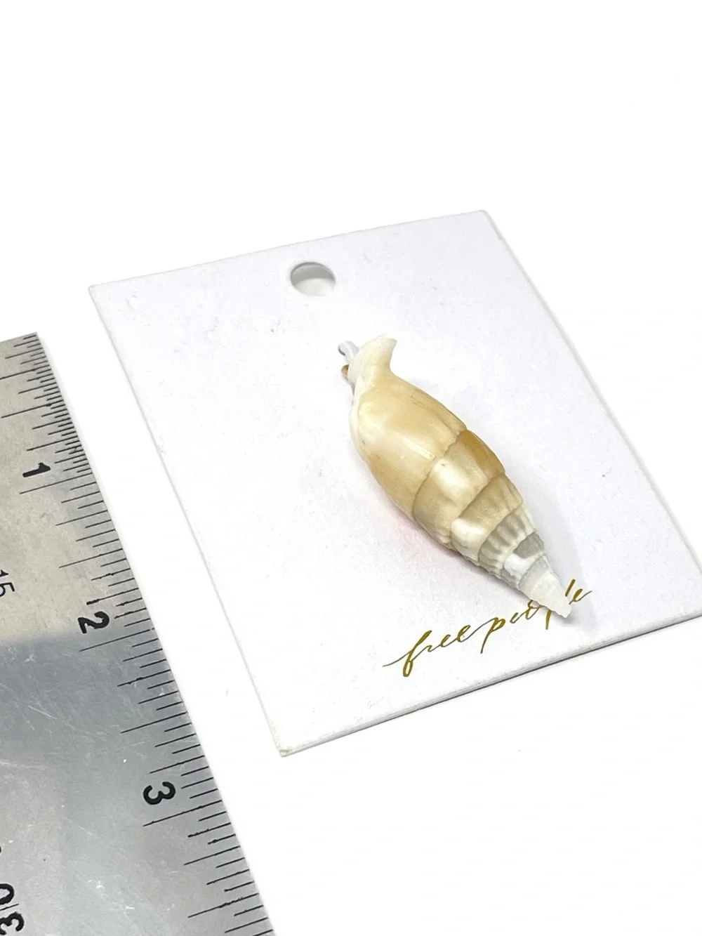 New Free People Sea Shell Pendant